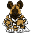 African Painted Dog Costume