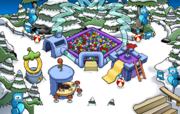 The Forest