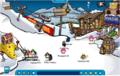 The Ski Village