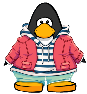 StripedHoodieandJacket2.PNG
