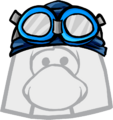 Swim Cap and Goggles