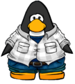 The Winter Threads on a player card.