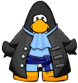 The Gray Pirate Coat on a player card.
