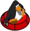 A penguin on an inner tube.