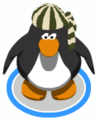 The Pirateer in-game.