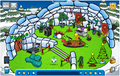 Backyard party