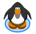 The Snowshoes in-game.