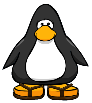 BrownFlipFlops2.PNG