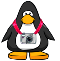 The Digital Camera on a player card.