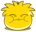 A Gold Puffle eating.