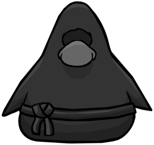 Ninja Outfit.PNG