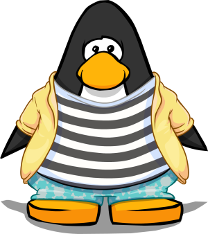 HighSeasFashion2.PNG