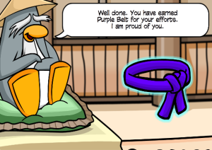 Purple belt.png