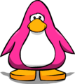 Pink color on a player card.