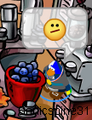 Who make those blueberries?