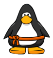 The Orange Ninja Belt on a player card.