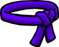 The Purple Belt.