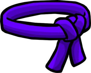 PurpleBelt.png
