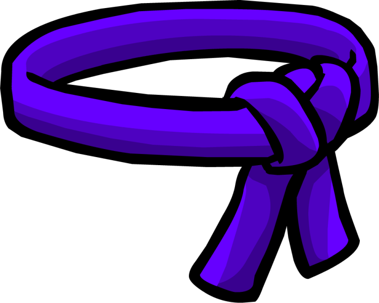 File:PurpleBelt.png