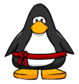 The Red Ninja Belt on a player card.