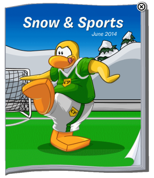 SnowandSportsJun2014.PNG