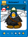 Nickname1's Playercard.