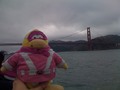 Gamma Gal near the Golden Gate Bridge.