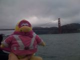 Gamma Gal near the Golden Gate Bridge.