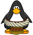 The Sumo Belt on a player card.