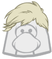 The Head Item?
