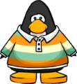 The Tri-Color Rugby Shirt on a player card.
