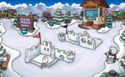 The Snow Forts