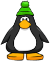The Green Pom Pom Toque on a player card.