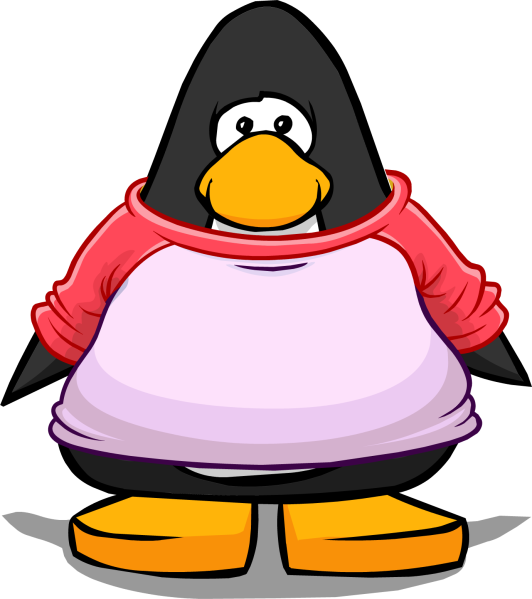 File:PinkTee2.png