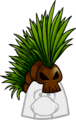 Watermelon Mohawk
