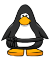The Black Ninja Belt on a player card.