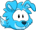 Blue Border Collie