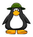 The Green Safari Hat on a player card.