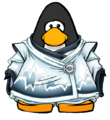 The Coat of Frost on the player card.