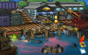 The Cove