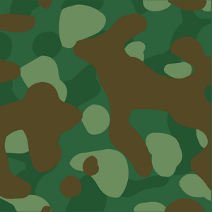 CamoBackground.png