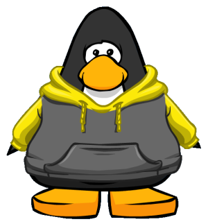 YellowandBlackTwo-toneHoodie2.png