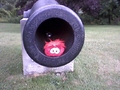 A red puffle inside a cannon.