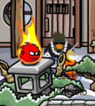 The Black Puffle spotted at the Ninja Hideout.