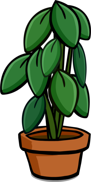 Large House Plant.PNG