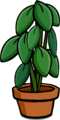 Large Houseplant