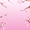 Blossom Background