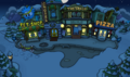 During the Operation: Puffle