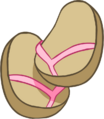 Pink Flip Flops