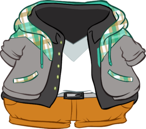PlaidHoodieOutfit.PNG